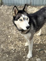 /album/188/whatsapp-image-2025-12-09-at-17-59-44-1-jpeg/